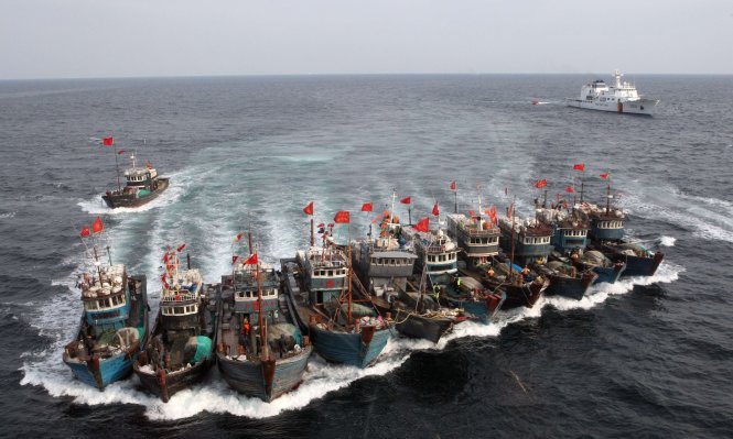 Tàu cá Trung Quốc thường đi thành đoàn để tranh cướp nguồn hải sản - Ảnh: AFP