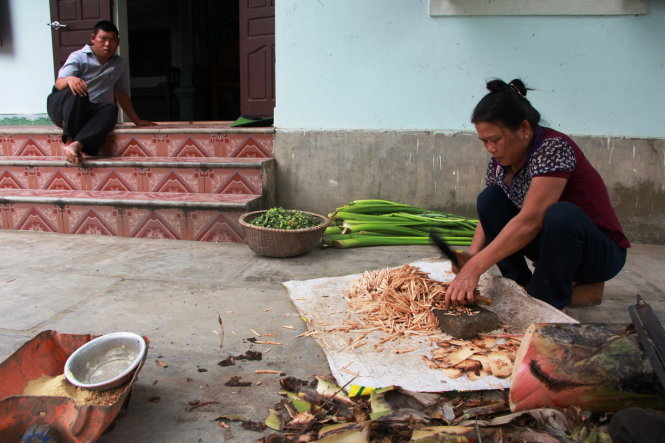 Bà Trần Thị Ninh, vợ liệt sĩ Phan Huy Sơn, quê xã Diễn Nguyên, huyện Diễn Châu, Nghệ An chuẩn bị rau để nấu cám cho heo - Ảnh: Doãn Hòa