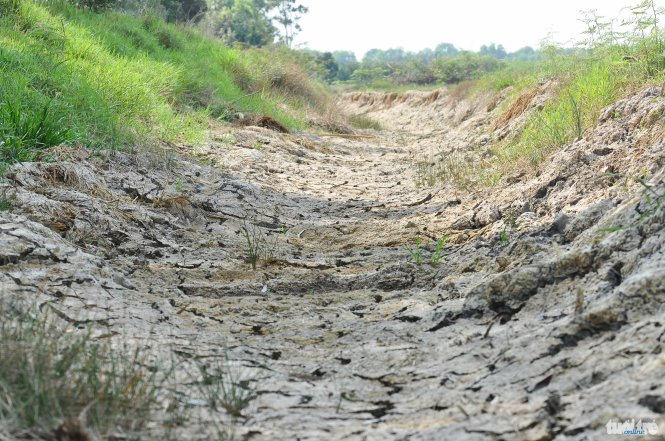 Rãnh nước dự phòng được đào vào năm ngoái, nhằm để cứu cá, giúp cá thoát vào khẩn cấp trong trường hợp khô hạn, nay cũng sắp cạn kiệt - Ảnh: LINH EM