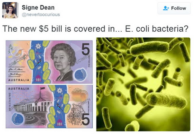 Một cư dân mạng so sánh hình ảnh trên tờ tiền mới với... vi khuẩn E.coli - Ảnh chụp màn hình