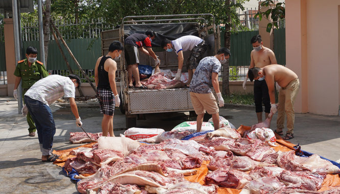 ​Hơn 1 tấn thịt heo đã bốc mùi hôi thối - Ảnh: Bá Sơn