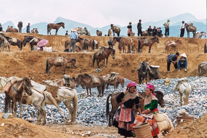 Chợ ngựa Bắc Hà, Lào Cai là một nét văn hóa đặc sắc của vùng Tây Bắc - Ảnh: Hoài Linh