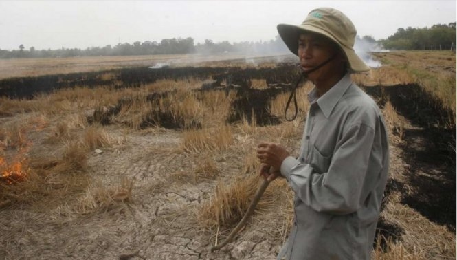 Nông dân ở vùng hạ lưu sông Mekong đang lao đao vì hạn háng - Ảnh:scmp