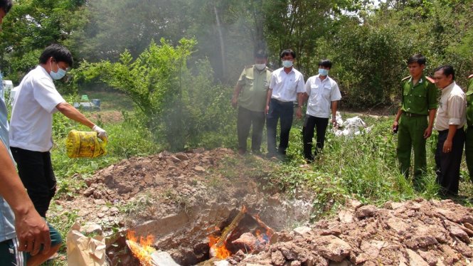 Tiêu hủy toàn bộ số da heo hôi thối trong chiều 22-4  - Ảnh: Bửu Đấu