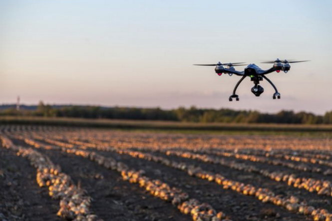 Kỹ thuật máy bay không người lái đã được ứng dụng trong nông nghiệp thế giới - Ảnh:BBC