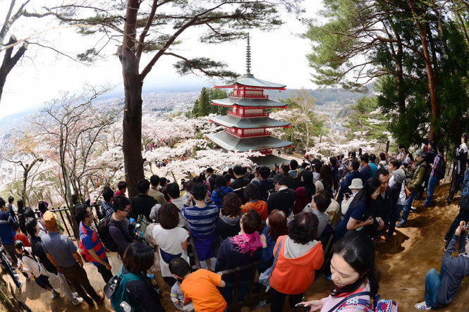 Khách đứng, ngồi trước Ngũ trùng tháp (Arakurayama Sengen) đợi mây bay ra khỏi  để thấy núi - Ảnh: TTD