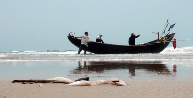 Một số cá rơi ra từ lưới của ngư dân vừa đánh bắt nhưng đã chết - Ảnh: Quốc Nam