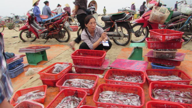 Tại cảng cá cửa Nhượng (Cẩm Xuyên, Hà Tĩnh), thương lái chủ yếu thu mua mực tươi, không mua cá, tôm, cua, ghẹ. Nhưng giá mực giảm hơn 50% - Ảnh: N.H.Thanh