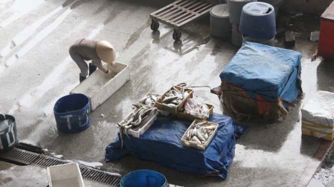 Cảnh thu dọn của tiểu thương buôn cá ở chợ cá Thọ Quang - Ảnh: Đoàn Cường