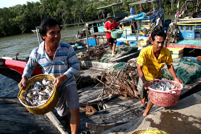 Ngư dân ở ấp Đồng Hòa, xã Long Hòa (huyện Cần Giờ, TP.HCM) phấn khởi sau chuyến đi biển trở về - Ảnh: Ngọc Dương