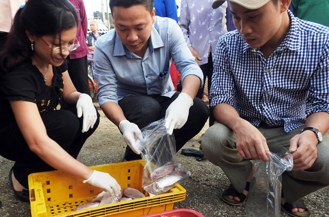 Sáng sớm tại chợ cá bãi Gò, cán bộ Sở NN&PTNT Hà Tĩnh đến lấy mẫu cá biển của ngư dân xác định 