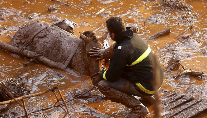 Hình ảnh ô nhiễm tại sông Gualaxo do Norte do công ty Samarco gây ra - Ảnh: Reuters