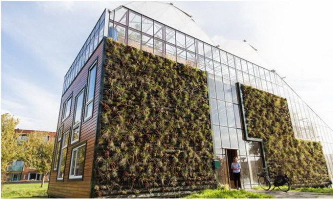 Toàn cảnh ngôi nhà kính nhìn trong khuôn viên trường đại học Rotterdam