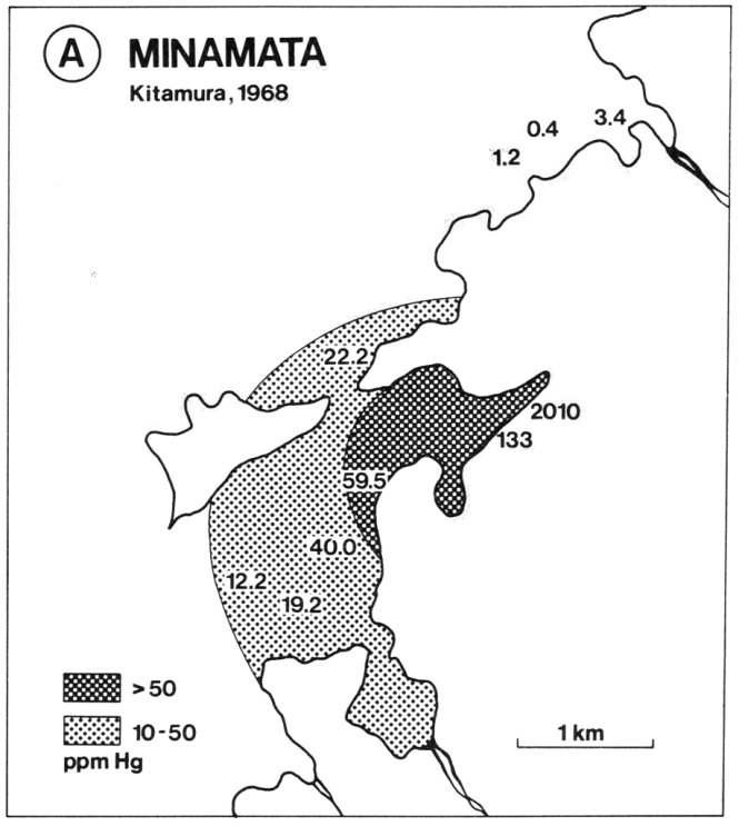 Bản đồ trầm tích ven biển Minamata bị nhiễm thủy ngân (Hg) - Ảnh: seme.uqar.ca