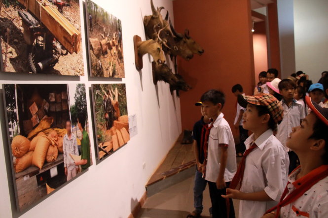 Học sinh huyện Cư M’Gar (Đắk Lắk) tham quan khu vực “chứng tích” phá rừng tại Bảo tàng Đắk Lắk - Ảnh: Tr.Tân