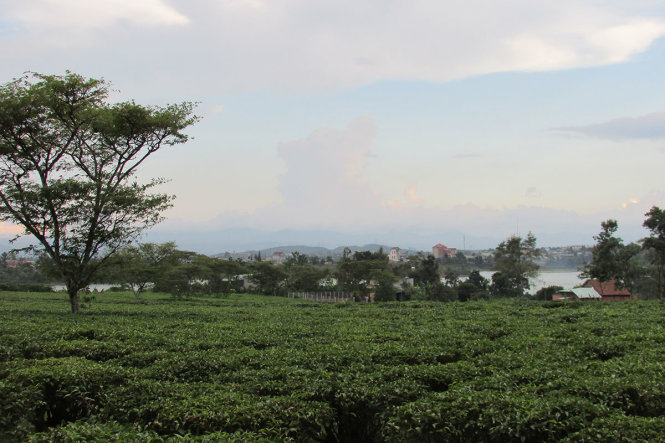 Một góc thị trấn Lộc Thắng bên hồ Bảo Lâm lờ mờ trong sương chiều, ảnh chụp từ một đồi trà - Ảnh: Nguyễn Thiên Đăng