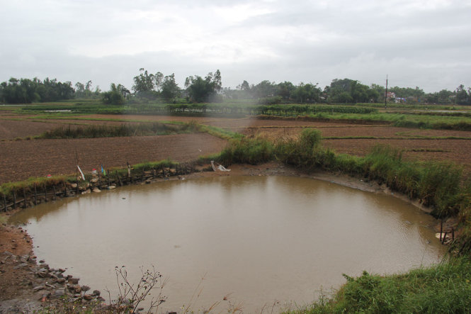 Một hồ nhỏ giữa một cánh đồng ở huyện Bình Sơn đã tích được một ít nước - Ảnh: Trần Mai