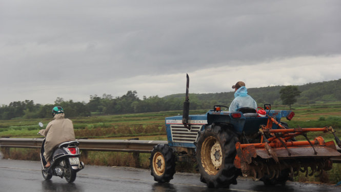 Tranh thủ trận mưa lớn một người lái máy cày ở xã Bình Long (huyện Bình Sơn) đã ra đồng - Ảnh: Trần Mai