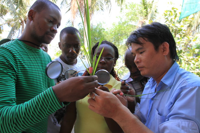 Anh Lý Hùng giảng giải cho các cán bộ Mozambique tác hại của ốc bươu vàng đối với ruộng lúa