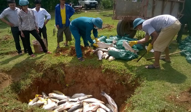 Tiêu hủy cá lồng nuôi trên sông Bưởi bị chết của người dân xã Thạch Định, huyện Thạch Thành, sau khi phun hóa chất theo quy định.