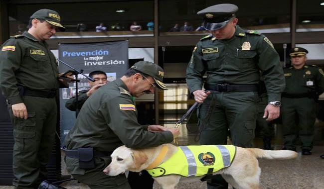Cảnh sát triển khai chó nghiệp vụ dò tìm ma túy - Ảnh: The News