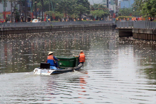 Xác cá nổi trắng mặt kênh Nhiêu Lộc - Thị Nghè đoạn gần cầu Trần Quang Diệu - Ảnh: Q.Khải