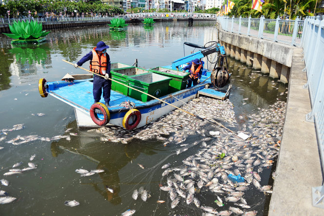 Nhân viên Công ty TNHH MTV Môi trường đô thị TP.HCM khẩn trương vớt cá chết trên kênh Nhiêu Lộc - Thị Nghè - Ảnh: Hữu Khoa