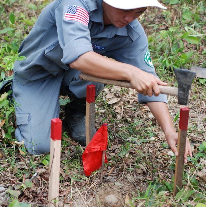 Rất nhiều bom bi chưa nổ do nhân viên rà phá bom mìn thuộc dự án Renew phát hiện tại Quảng Trị - Ảnh: Quốc Nam