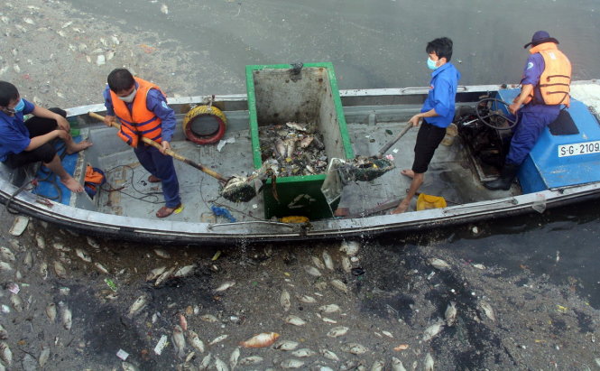 Các công nhân vớt xác cá nổi trên kênh Nhiêu Lộc - Thị Nghè đoạn gần cầu số 5 sáng 18-5 - Ảnh: Q.Khải