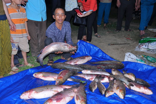 Người dân xã Thạch Cẩm, huyện Thạch Thành kiểm đếm số cá lồng nuôi trên sông Bưởi bị chết hàng loạt ngày 14-5 trước khi đem đi tiêu hủy - Ảnh: Hà Đồng