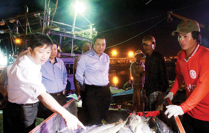 Đoàn cán bộ TP Đà Nẵng kiểm tra tình hình tiêu thụ hải sản để tháo gỡ khó khăn cho ngư dân
- Ảnh: Hữu Khá