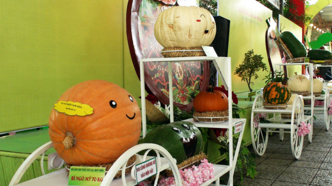 Nhiều trái cây có trọng lượng “khủng” góp mặt trong lễ hội - Ảnh : Đại Việt