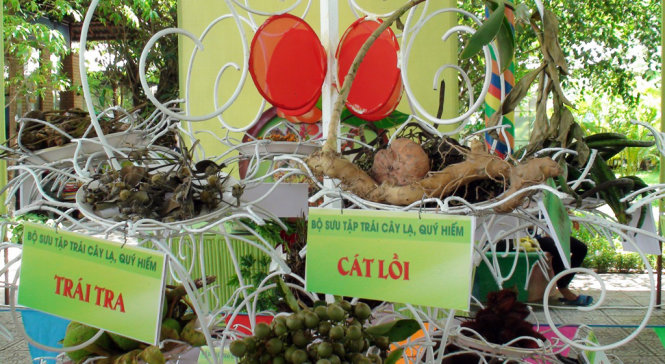 Nhiều loại trái độc, lạ được trưng bày tại lễ hội - Ảnh : Đại Việt