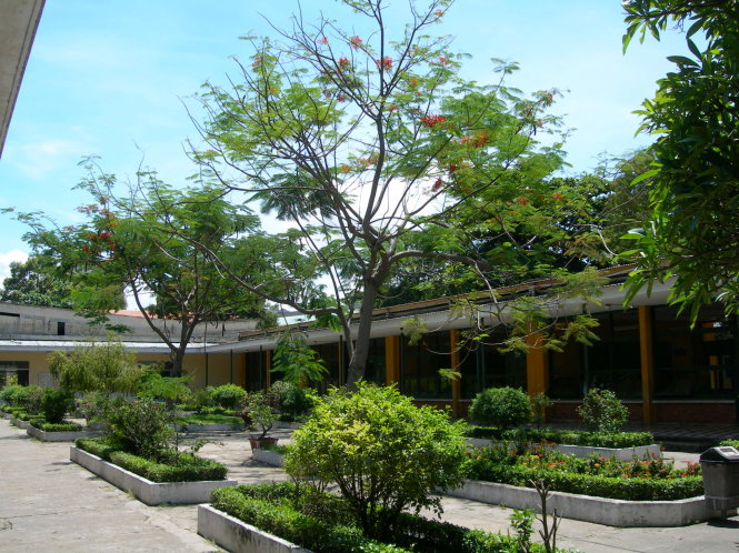 Khuôn viên Trường Trung học thực hành Sài Gòn. Ảnh: B.L