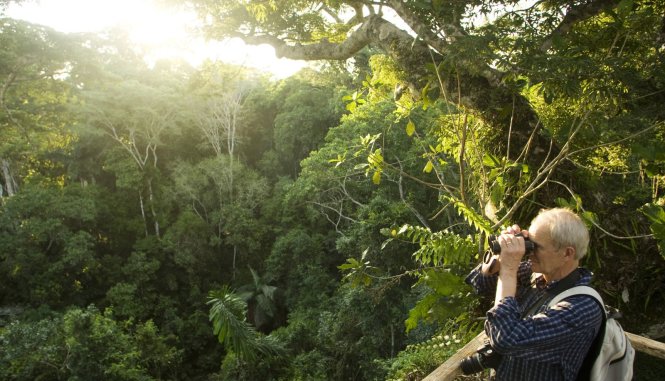 Một du khách ngắm cảnh tại rừng Amazon - Ảnh: Reuters