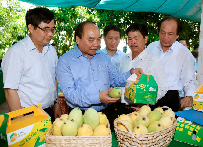 Thủ tướng Nguyễn Xuân Phúc thăm Hợp tác xã xoài Mỹ Xương, huyện Cao Lãnh - Ảnh: TTXVN
