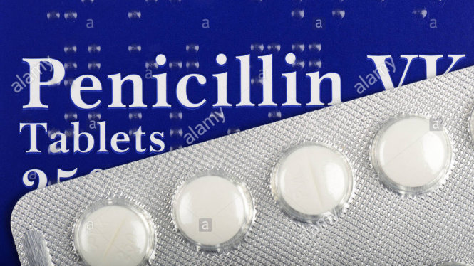 Penicillin là loại kháng sinh thông dụng và tỉ lệ kháng Pnicillin ở Việt Nam cao nhất Đông Nam Á (71,4%)