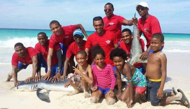 Nhóm du khách và cứu hộ chụp hình bên chú cá mập xấu số - Ảnh: facebook