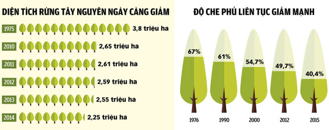 Nguồn: Bộ NN&PTNT - Đồ họa: TẤN ĐẠT