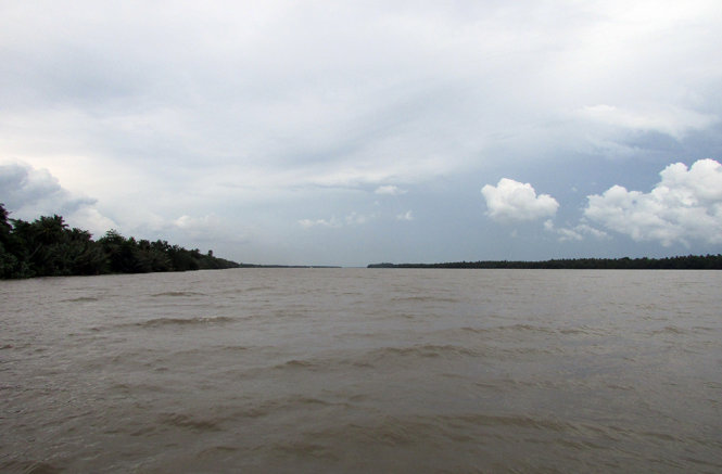 Đoạn sông Cửa Đại (một nhánh của sông Tiền), ranh giới của hai vùng đất Gò Công và Tân Phú Đông, nơi loài cá úc sinh sống nhiều