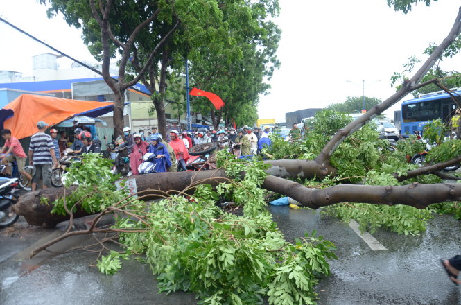 Khoảng 2g chiều 27-6, tại khu vực trước bến xe Tân Phú, mưa gió làm cây ngã đổ khiến người chạy xe ba gác bị thương - Ảnh: Uyên Trinh