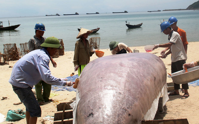 Ngư dân xã Kỳ Lợi (thị xã Kỳ Anh, Hà Tĩnh) sửa sang thuyền để chuẩn bị trở lại đánh bắt - Ảnh: Văn Định