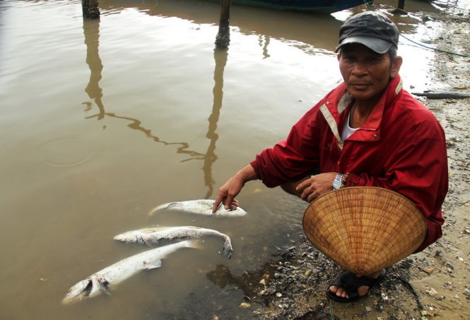 Cá chết xuất hiện ở phía bắc tỉnh Thừa Thiên - Huế - Ảnh: Nhật Linh