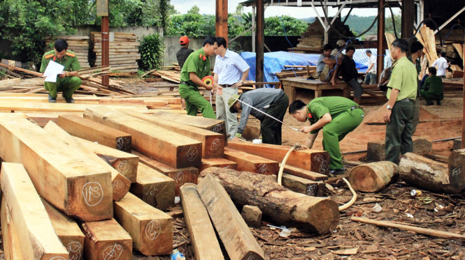 Công an kiểm tra một cơ sở nghi thu mua gỗ lậu tại TP Bảo Lộc, tỉnh Lâm Đồng