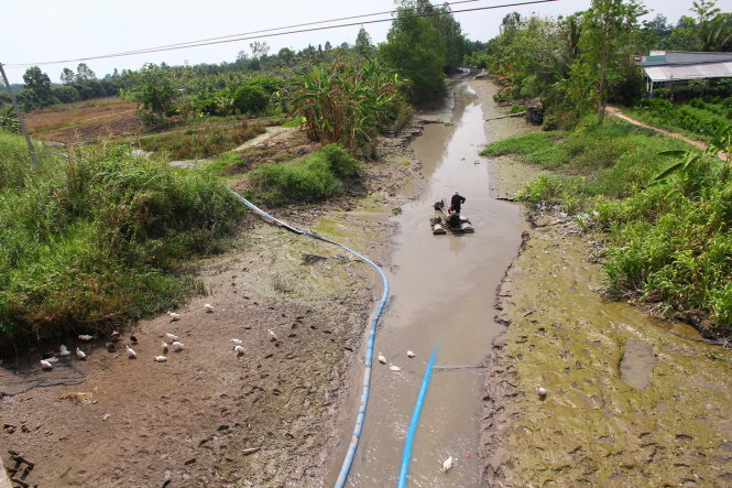 Đợt hạn mặn lịch sử đầu năm 2016 đã khiến hầu hết các kênh rạch ở đồng bằng sông Cửu Long trơ đáy. Sự tác động của biến đổi khí hậu đã hiện hữu, đòi hỏi phải có sự liên kết mạnh mẽ hơn giữa các tỉnh và các vùng - Ảnh: CHÍ QUỐC