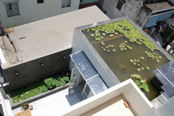 Xây hồ nước trên mái nhà là một cách hạ nhiệt cho nhà phố - Ảnh minh họa: BĐS