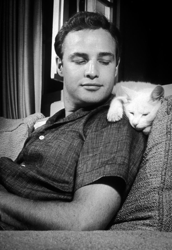 Hình ảnh bất tử của Marlon Brando lúc còn trẻ