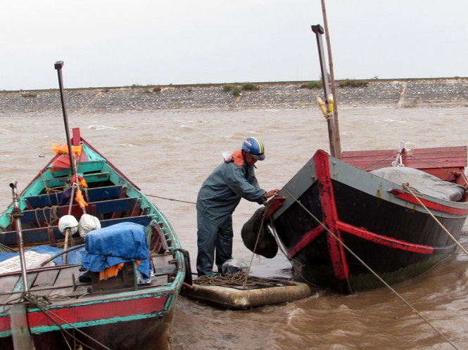 Đến chiều nay, nhiều tàu thuyền trên vùng biển Quất Lâm đã vào nơi neo đậu an toàn