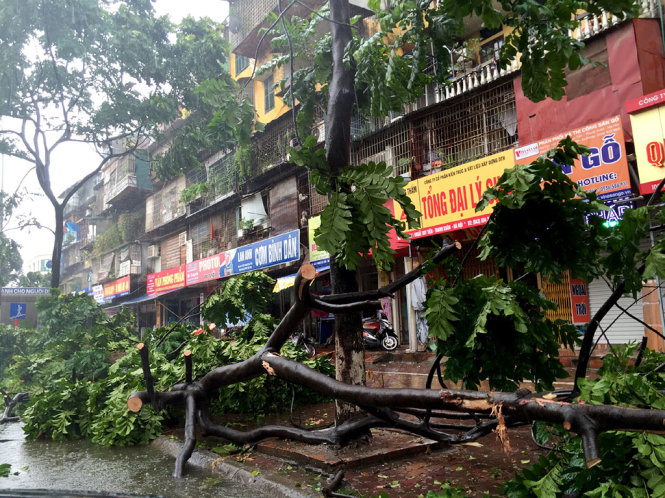 Hàng loạt cây xanh gãy đổ trên nhiều tuyến phố Hà Nội