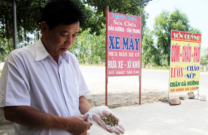 Ông Nguyễn Công An, 60 tuổi, ngụ xóm 11, xã Nghi Xá, huyện Nghi Lộc, Nghệ An nhặt được gần 200 chiếc đinh còn khá mới trên tuyến đường qua Khu công nghiệp Nam Cấm - Ảnh: DOÃN HÒA